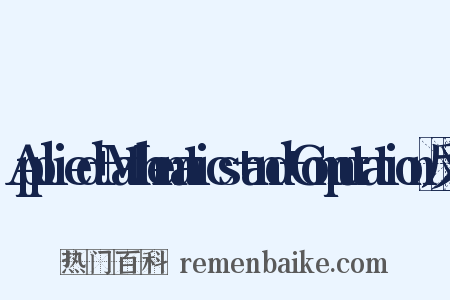 Applied+Mathematics+and+Computation反义词是什么意思的图片